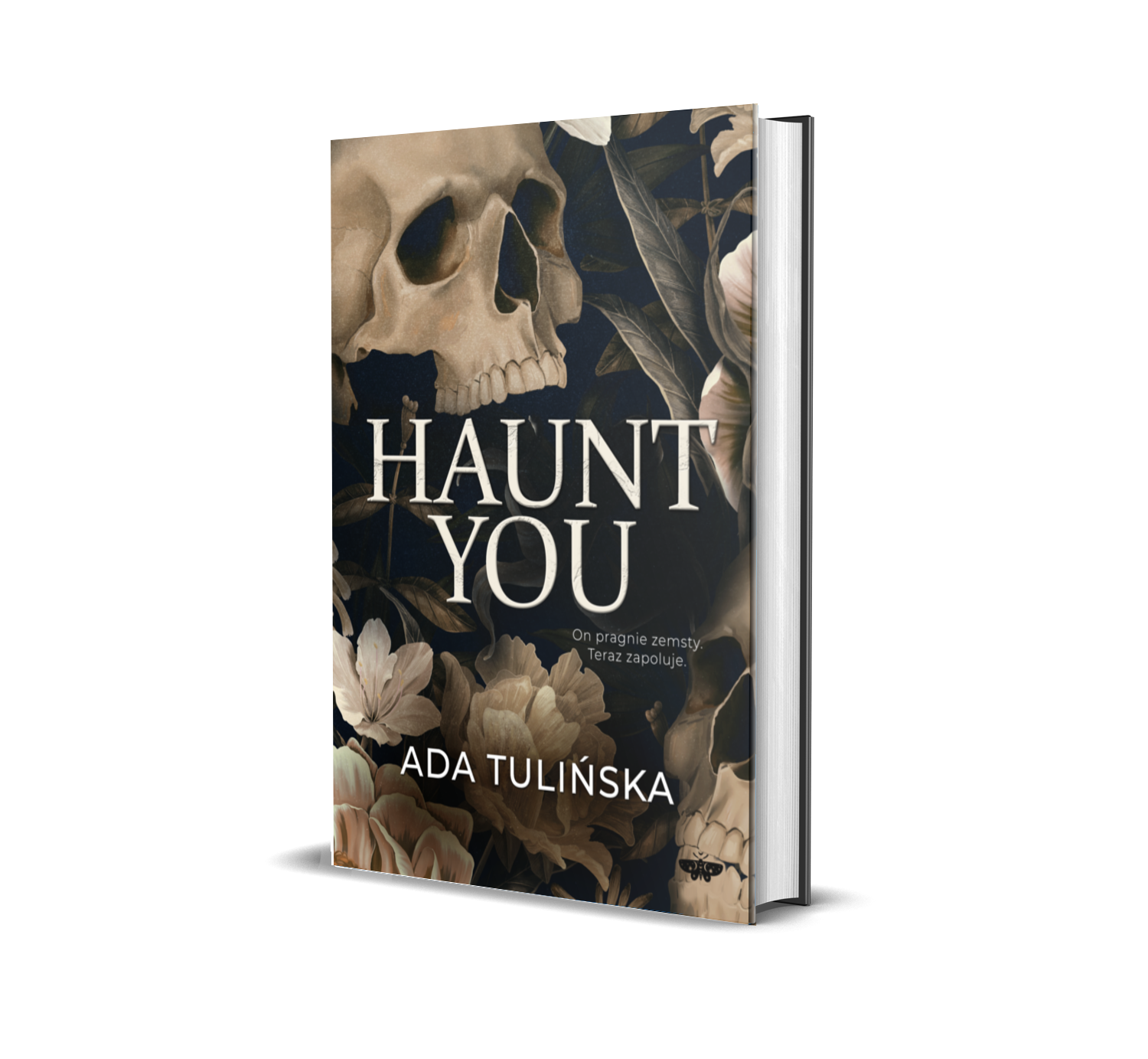 Okładka książki Haunt you